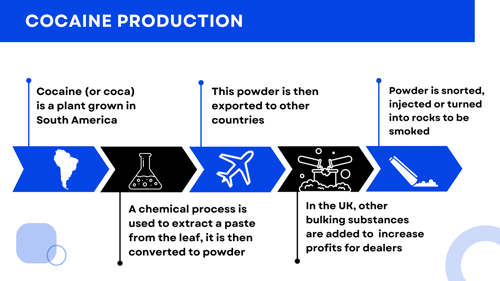 Infographic explaining cocaine production process - as covered in text above.