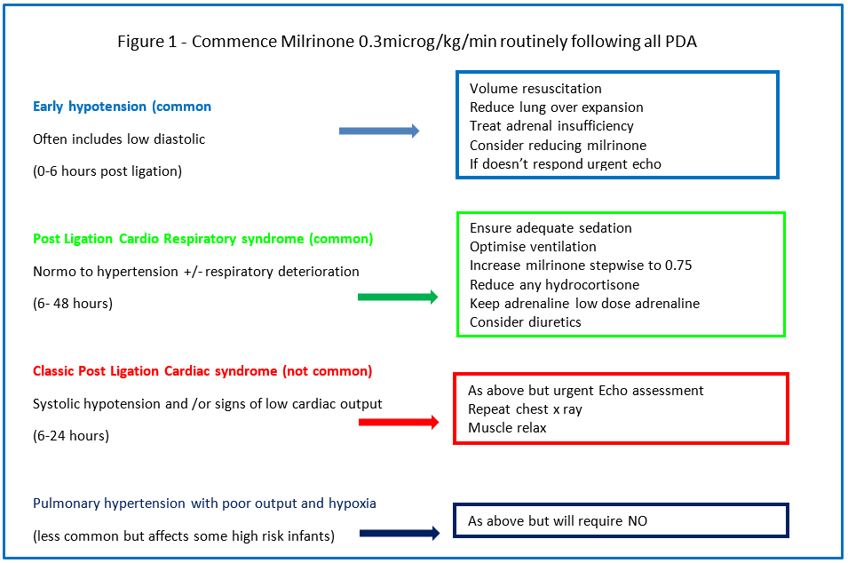 Figure 1 - Commence Milrinone 0.3microg/kg/min routinely following all PDA