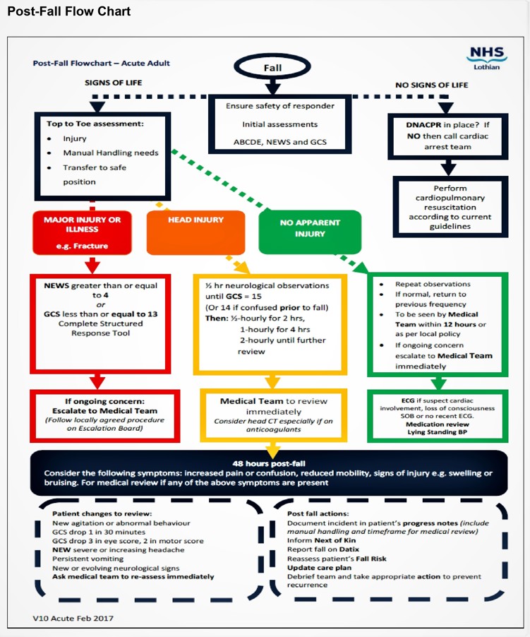 Picture of the Post fall flow chart