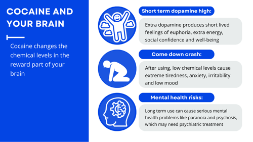 Infographic explaining the effects of cocaine on the brain - as covered by text above.