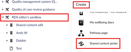 Screenshot showing how to create a content page on the Right Decision Service content management system