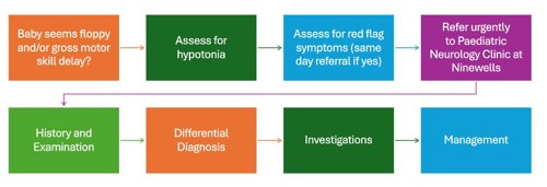 Clinical pathway for hypotonic infant