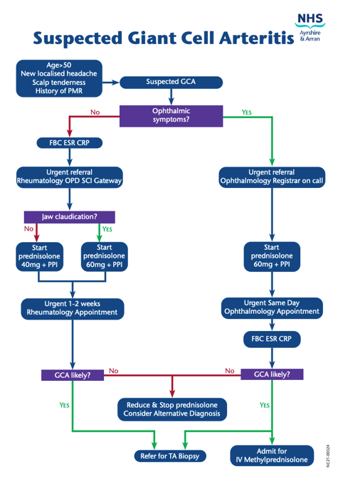 Suspected giant cell arteritis