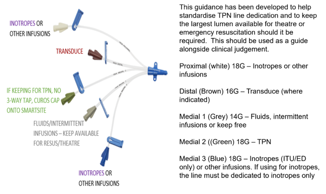 A close-up of a medical device

AI-generated content may be incorrect.