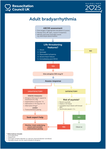 Adult bradyarrhythmia algorithm