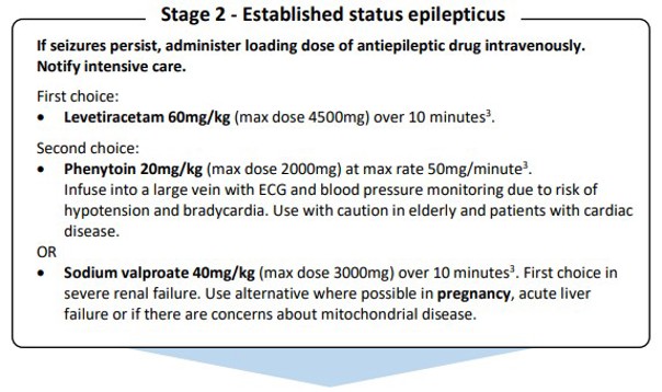 Established status epilepticus pathway