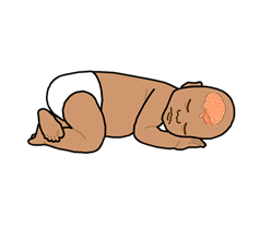 A baby lying down with the brain highlighted