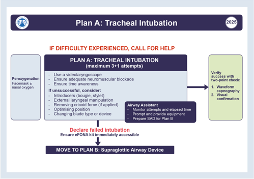 Plan A Tracheal intubation algorithm