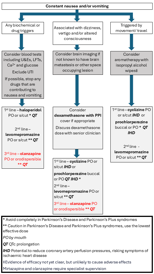 Constant nausea and/or vomiting flowchart
