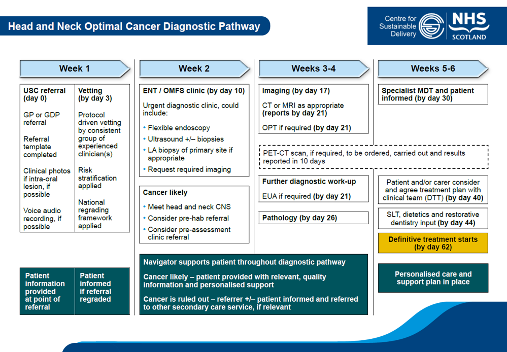 Diagram of head and neck optimal cancer diagnostic pathway