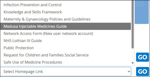 Screenshot of Homepage link
