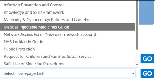 Screenshot of Homepage link