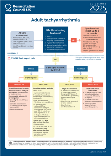 Adult tachyarrhythmia algorithm